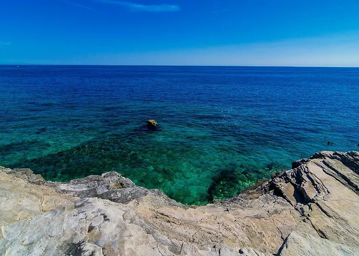 Zora & Natale * Πούλα